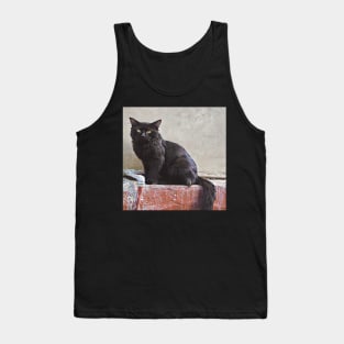 CAT LOVER AND LOVER ART Tank Top